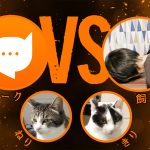 にゃんトークVS飼い主! 話題のネコ語翻訳アプリと飼い主の理解は一致するか？