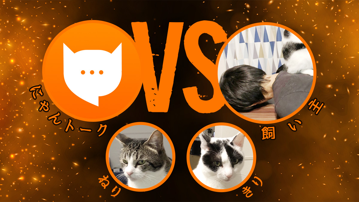 にゃんトークVS飼い主! 話題のネコ語翻訳アプリと飼い主の理解は一致するか？ | uzurea.net