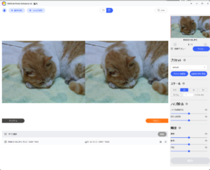 DVDFab Photo Enhancerで猫を2倍にアップスケーリングを適用した際の設定