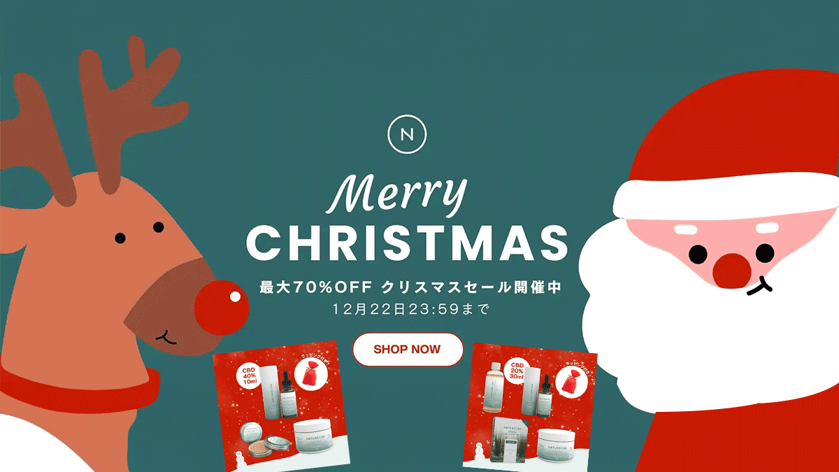 クリスマスセール！！！！ クリスマスキャンペーン 第2弾！公式ストア＆Amazonで全品20%OFFセール