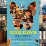 韓国映画『DOG DAYS 君といつまでも』が2024年11月1日放映 メインビジュアル・場面写真・予告動画あり