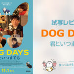 韓国映画『DOG DAYS 君といつまでも』試写レビュー 愛犬との関わり方を描いたハートフルコメディ