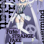 Fate/strange Fake 画像 8