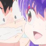 らんま1/2 第2期 (2025年版) 画像 20