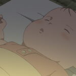 ホウセンカ 画像 36