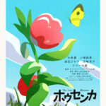 ホウセンカ 画像 3