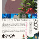 ホウセンカ 画像 6