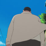 ホウセンカ 画像 8