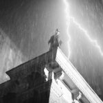 スパイダー・ノワール 画像 6