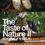 The Taste of Nature II 幻のカカオを探して 画像 1