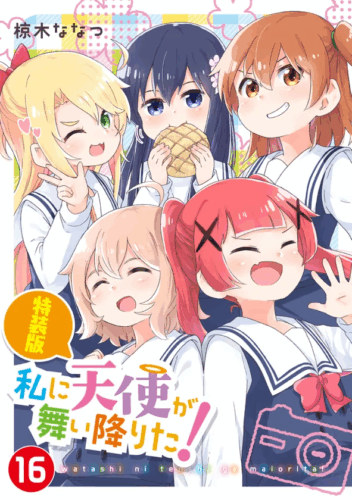 『私に天使が舞い降りた！』第16巻 特装版