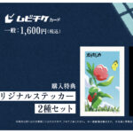 ホウセンカ 画像 18