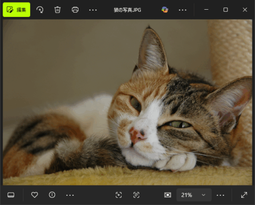『4DDiG』復元テスト。猫の写真.JPG、猫の写真_1.JPG はちゃんと復元された