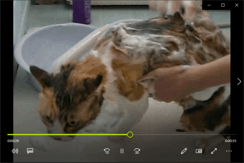 『4DDiG』復元テスト。復元された、猫を洗う.wmvと猫を洗う_1.wmvも問題なく再生できた