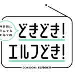 #神奈川に住んでるエルフの「どきどき！エルフどき！」 画像 1