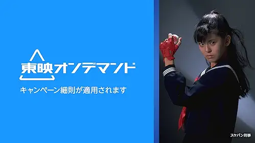 Amazonプライムビデオ追加チャンネル 東映オンデマンド