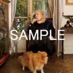 フジコ・ヘミング 永遠の音色 画像 18