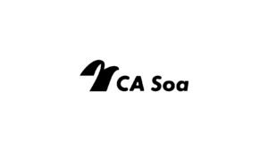 CA Soa image