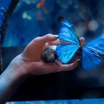 人間標本 画像 19