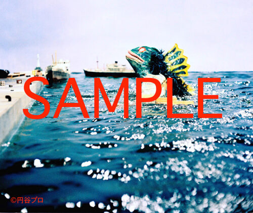 ウルトラマン 怪獣スチール写真アーカイヴス収録内容サンプル1