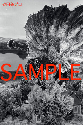 ウルトラマン 怪獣スチール写真アーカイヴス収録内容サンプル4