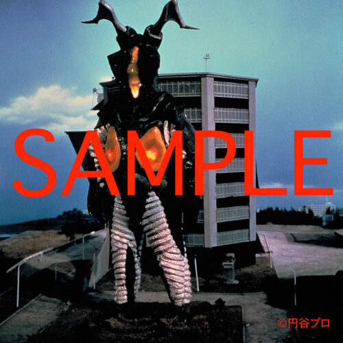 ウルトラマン 怪獣スチール写真アーカイヴス収録内容サンプル6