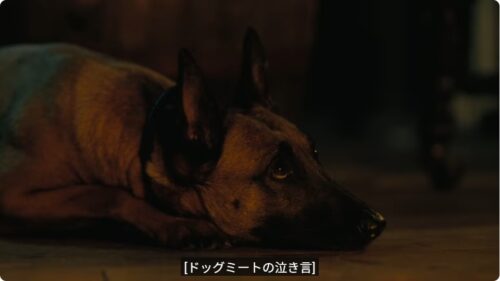 みんな大好き ドッグミートもちょっと登場