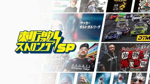 刺激ストロングSP