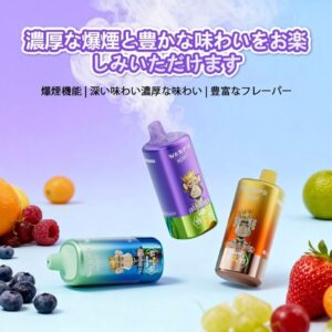 WASPE 4 in 1 100000 PUFFS Four Flavor 画像6