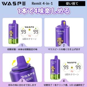 WASPE 4 in 1 100000 PUFFS Four Flavor 画像1