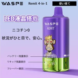 WASPE 4 in 1 100000 PUFFS Four Flavor 画像2