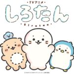 しろたん 画像 1