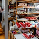 ふくふくの地図 画像 3