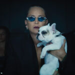 Mr.ノーバディ2 画像 3