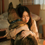 少年と犬 画像 3