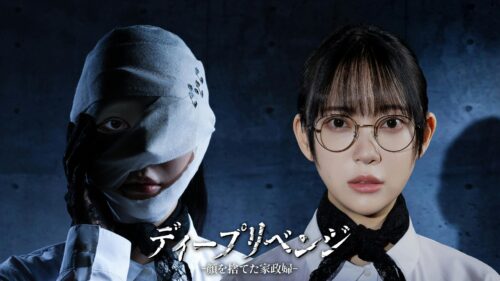国内ドラマ『ディープリベンジ-顔を捨てた家政婦-』