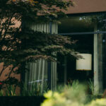 ブゴニア 画像 12