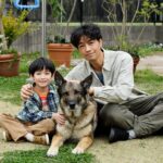 少年と犬 画像 6