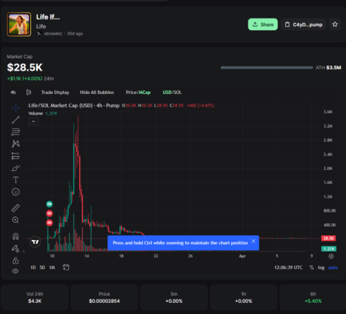 ミームコイン 『Life If…』 Pump.funページスクリーンショット