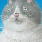 かなしきデブ猫ちゃん 画像 1