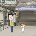 野良スコ The Stray Scottish Fold 画像 1