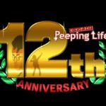 ピーピングライフ12th anniversary 画像 1