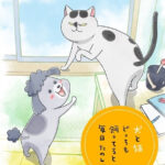 犬と猫どっちも飼ってると毎日たのしい 画像 1