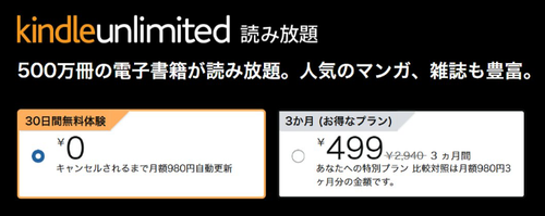 3か月間499円が提示されている例