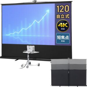 イーサプライ EEX-PSY10T-120HD 120型スクリーン