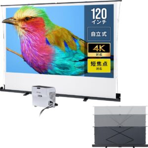 サンワダイレクト 100-PRS030 120型スクリーン