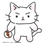 猫ピッチャー 画像 1
